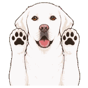 Joeyの動く絵文字「やったー」