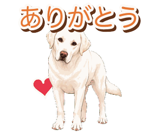 Joeyの動くスタンプ