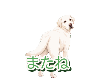 Joeyの動くスタンプ
