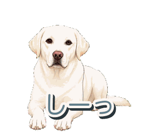 Joeyの動くスタンプ
